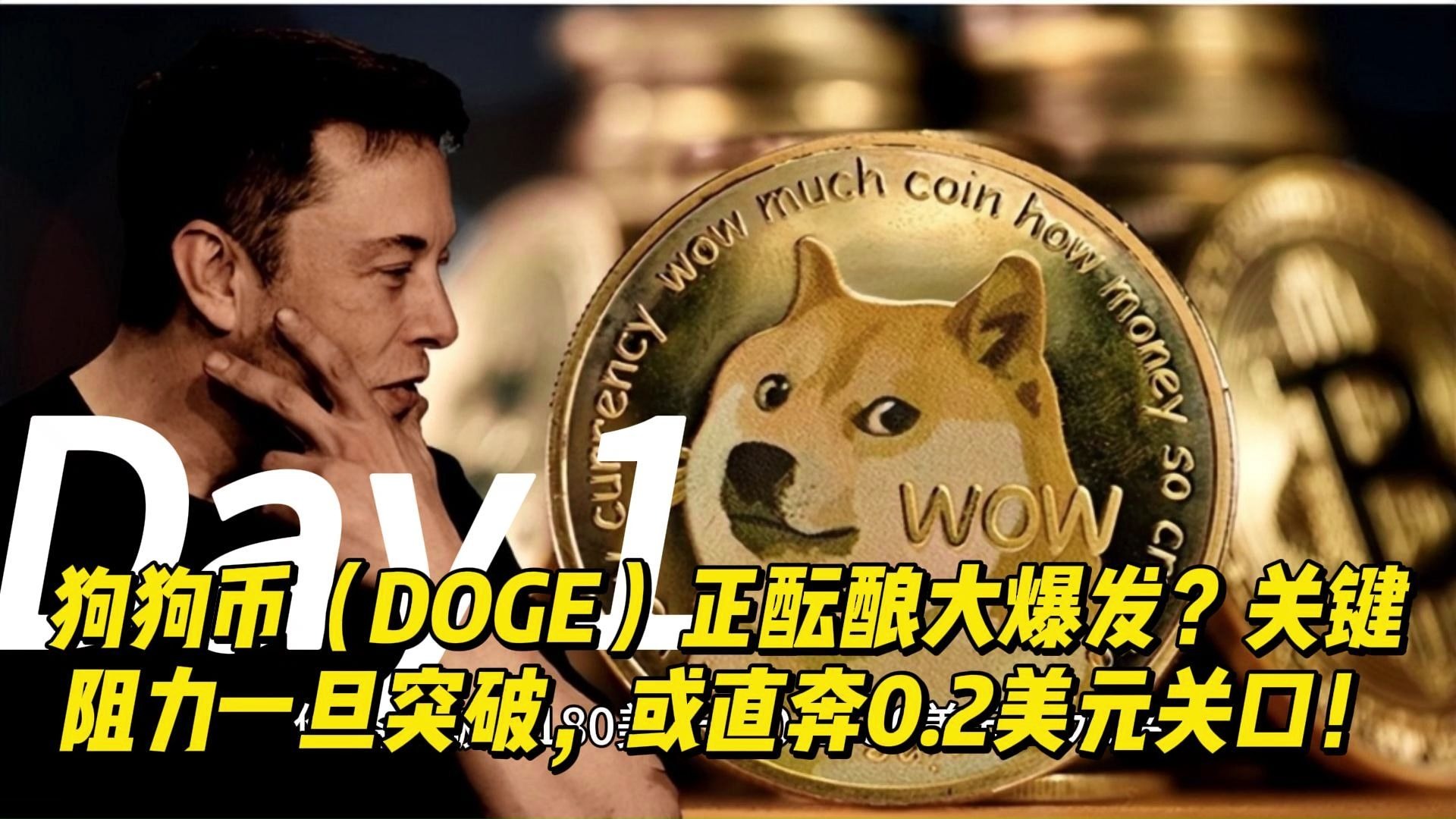 狗狗币投资骗局被揭发，已有超ADA人被骗！